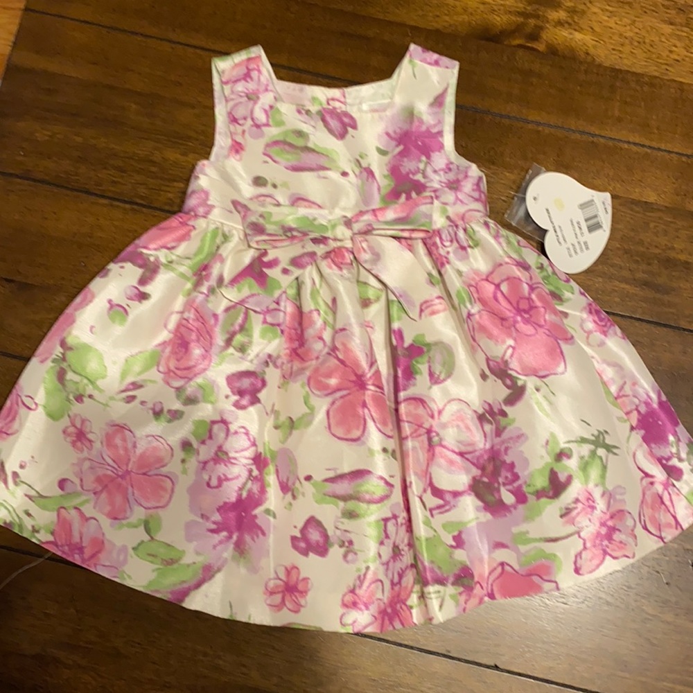 Little Miss Attitude floral baby dress nwt